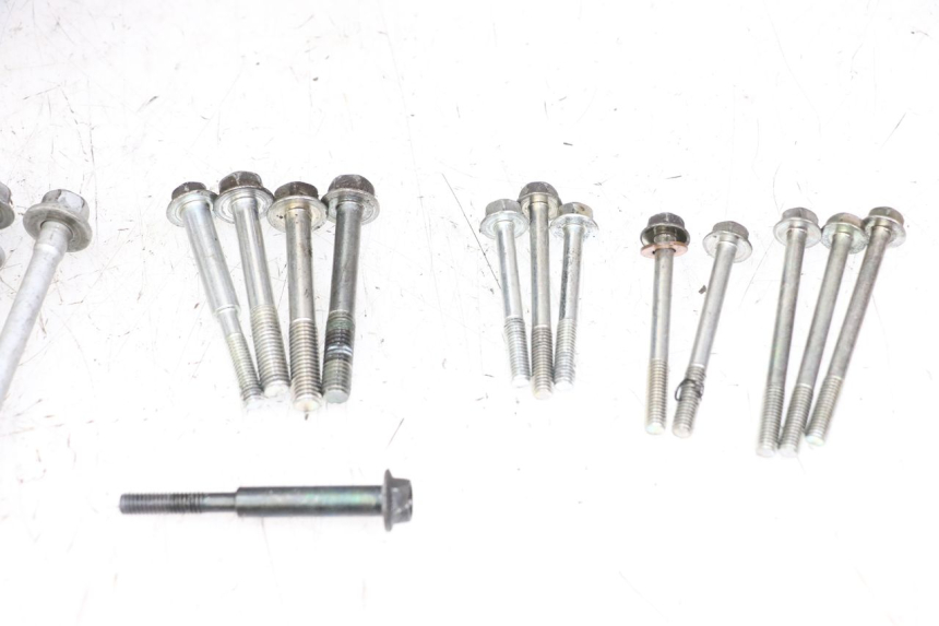 photo de CARTER YAMAHA FZ1 FAZER 1000 (2007 - 2009) - Detalles de los puntos de fijación