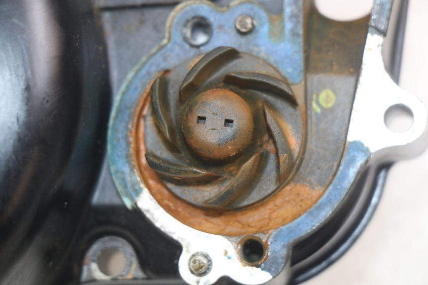 photo de TAPA DEL EMBRAGUE SHERCO SM-R 50 (2018 - 2021) - Recambio usado revisado