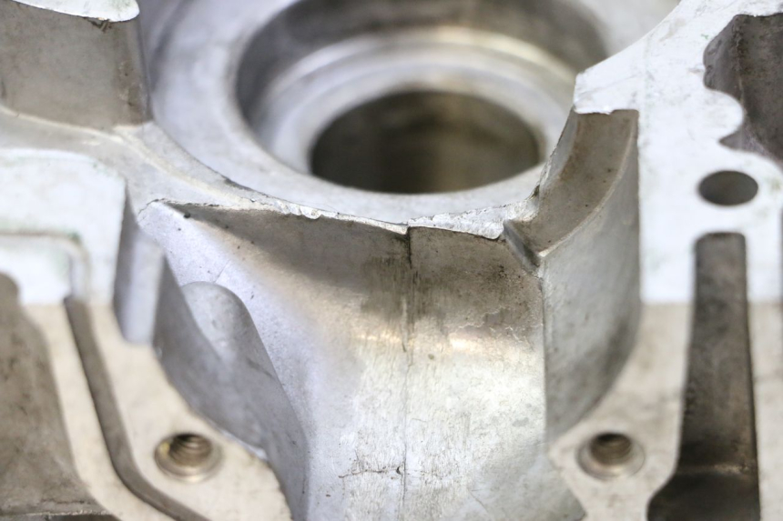 photo de CARTER PEUGEOT KISBEE 2T 50 (2018 - 2022) - Estado de la superficie y material