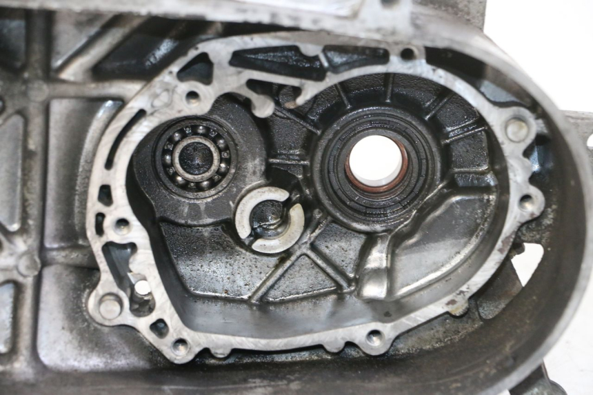 photo de CARTER IZQUIERDO PEUGEOT VIVACITY NEW 2T 50 (2008 - 2017) - Primer plano de alta resolución