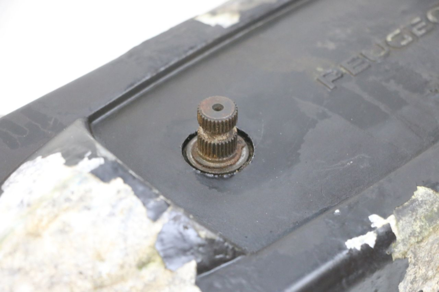 photo de CUBIERTA DEL VARIADOR PEUGEOT LUDIX 50 (2008 - 2017) - Marcados y referencias originales