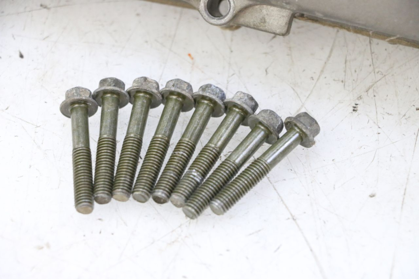 photo de CÁRTER DEL VARIADOR PGO RODOSHOW 2T 50 (2003 - 2007) - Estado de la superficie y material