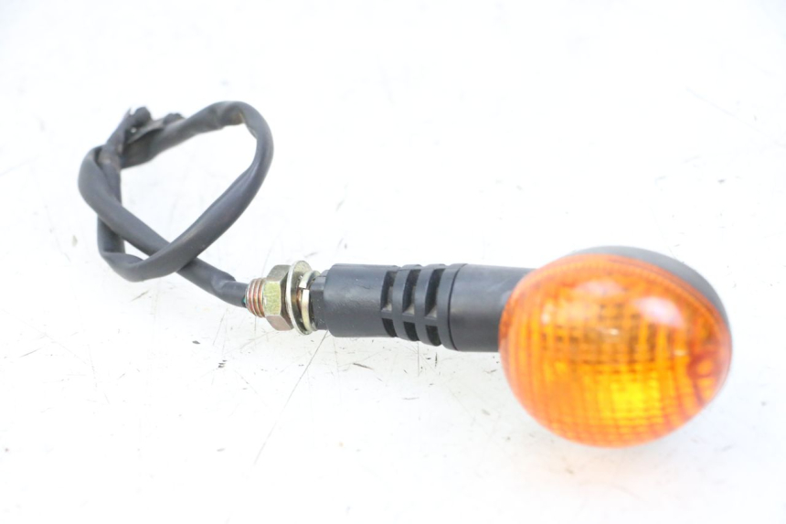 photo de TRASERO DERECHO INTERMITENTE DAELIM BESBI 125 (2007 - 2008) - Vista principal