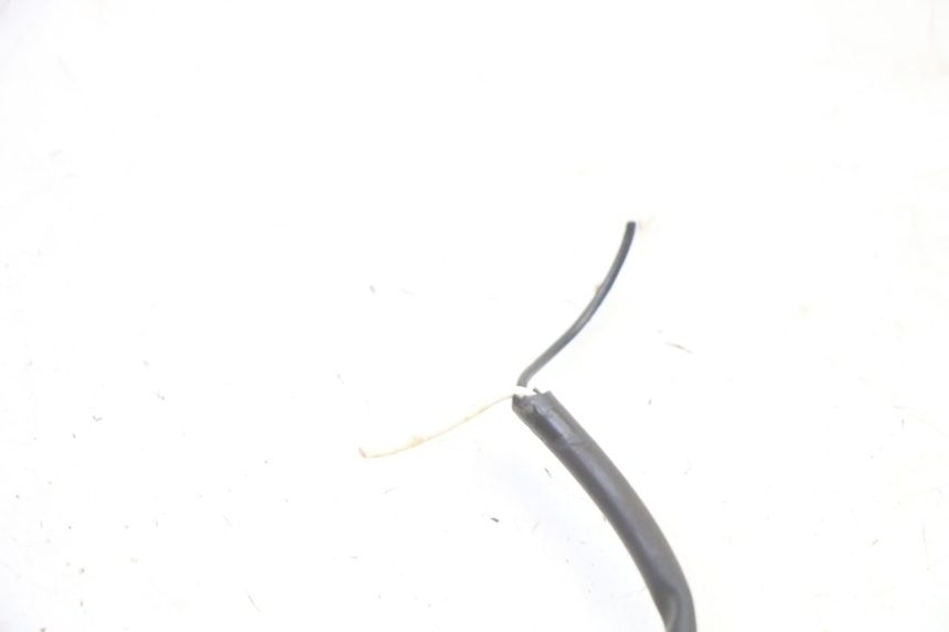 photo de DELANTERO DERECHO INTERMITENTE TRIUMPH SPRINT 900 (1995 - 1998) - Primer plano técnico