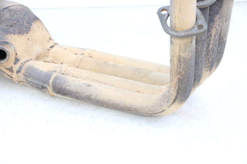 photo de COLECTOR YAMAHA FJR ABS 1300 (2006 - 2012) - Vista principal