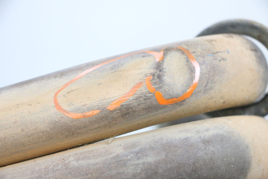 photo de COLECTOR YAMAHA FJR ABS 1300 (2006 - 2012) - Zoom estado de uso