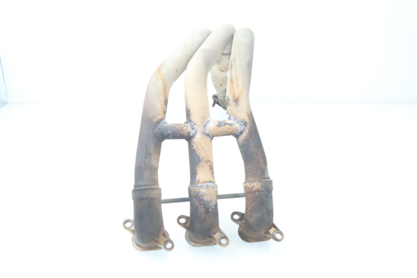 photo de COLECTOR TRIUMPH SPEED TRIPLE 1050 (2005 - 2007) - Otra perspectiva