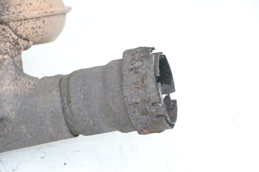 photo de COLECTOR SUZUKI SV S 650 (1999 - 2002) - Características distintivas