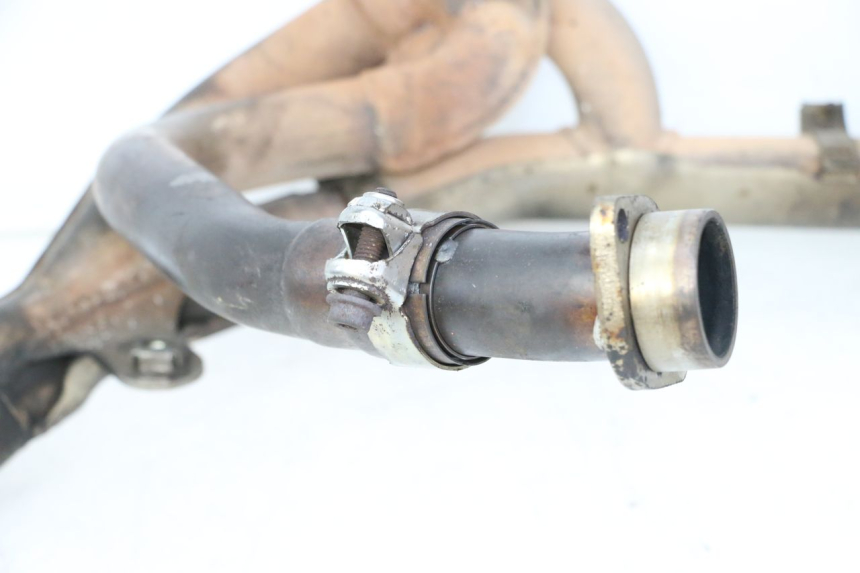 photo de COLECTOR SUZUKI SV S 650 (2003 - 2009) - Características distintivas