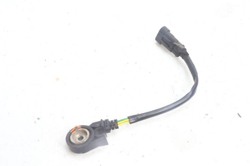 photo de INTERRUPTOR DE ENCENDIDO PATA DE CABRA PEUGEOT CITYSTAR 125 (2011 - 2017) - Vista principal