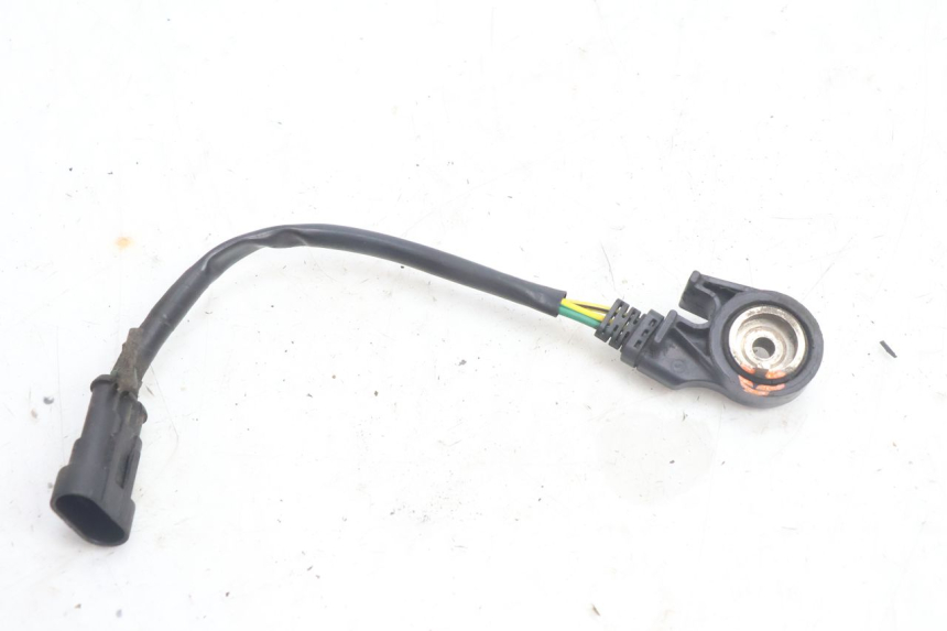 photo de INTERRUPTOR DE ENCENDIDO PATA DE CABRA PEUGEOT CITYSTAR 125 (2011 - 2017) - Primer plano técnico