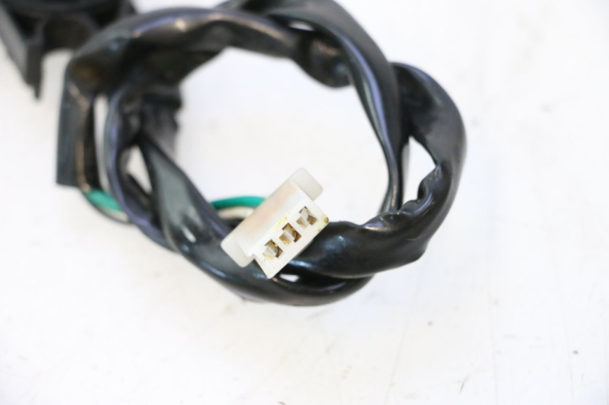 photo de INTERRUPTOR DE ENCENDIDO PATA DE CABRA EUROCKA GTR 50 (2007 - 2017) - Zoom estado de uso