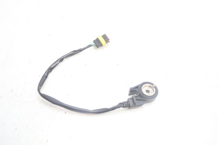 photo de CABALLETE INTERRUPTOR JM MOTORS R-MAX TECH 50 (2024 - 2026) - Otra perspectiva