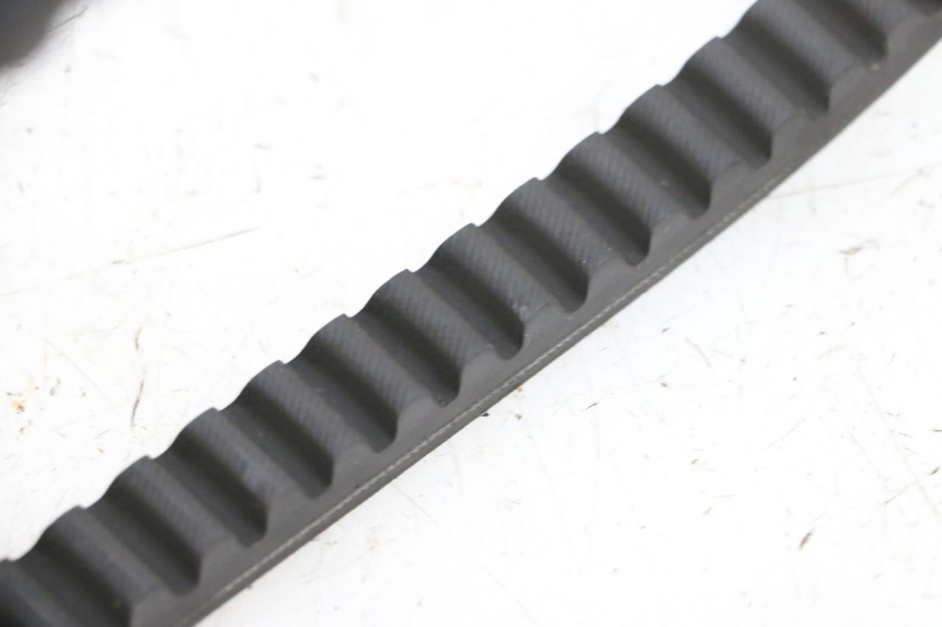 photo de CORREA PEUGEOT ELYSEO 125 (1999 - 2004) - Zoom estado de uso