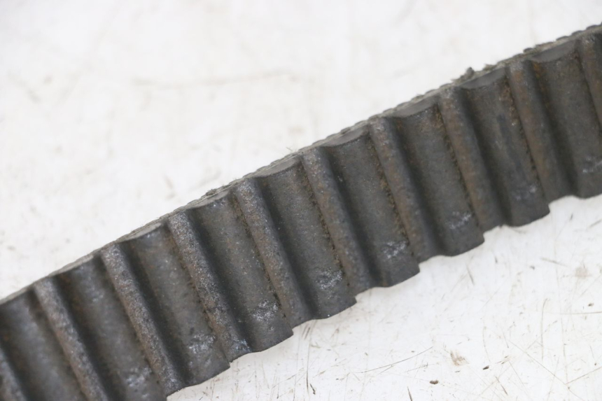 photo de CORREA HARLEY DAVIDSON SPORTSTER XL CUSTOM 1200 (2003 - 2004) - Detalle de la pieza