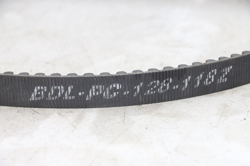 photo de CORREA HARLEY DAVIDSON SPORTSTER XL CUSTOM 1200 (2003 - 2004) - Vista general del producto