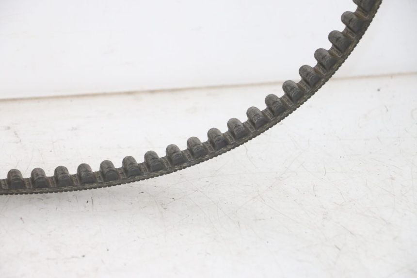 photo de CORREA HARLEY DAVIDSON SPORTSTER XL CUSTOM 1200 (2003 - 2004) - Estado de la superficie y material