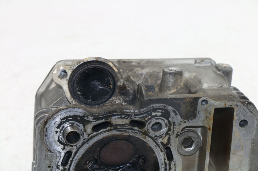 photo de CULATA DELANTERO HONDA NTV REVERSE 650 (1988 - 1988) - Recambio usado revisado