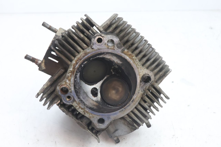 photo de CULATA DELANTERO DUCATI SS IE DS CARENEE 1000 (2002 - 2006) - Vista general del producto