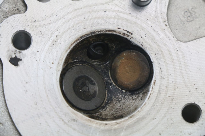 photo de CULATA LONGJIA DIGITA 4T 50 (2019 - 2022) - Ángulo de visión alternativo