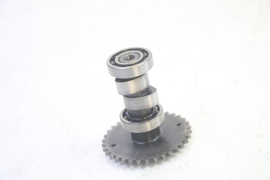 photo de CULATA LONGJIA DIGITA 4T 50 (2019 - 2022) - Inspección visual detallada