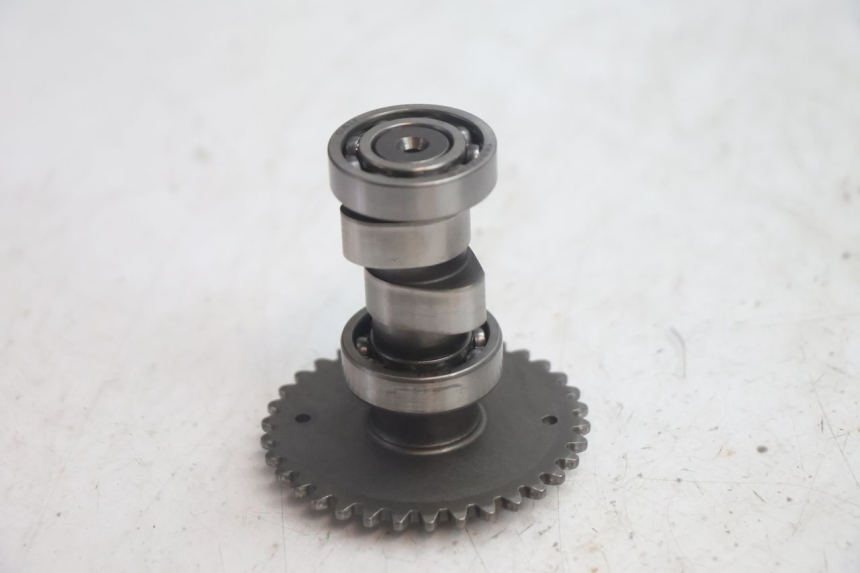 photo de CULATA JM MOTORS EVOLIS 4T 50 (2018 - 2022) - Detalles de los puntos de fijación