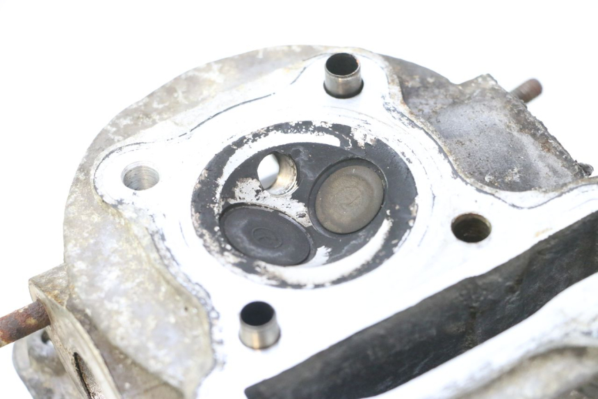 photo de CULATA JM MOTORS F45i 4T 50 (2020 - 2023) - Inspección visual detallada