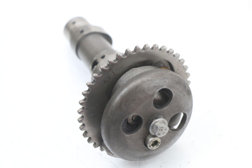 photo de CULATA RENAULT KOURANOS 125 (2001 - 2004) - Primer plano técnico