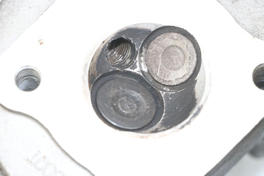 photo de CULATA JM MOTORS OLDIES 4T 50 (2010 - 2020) - Perfil de la pieza de repuesto