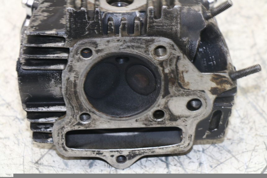 photo de CULATA PANTHERA PANTHERA 110 (2010 - 2017) - Primer plano técnico