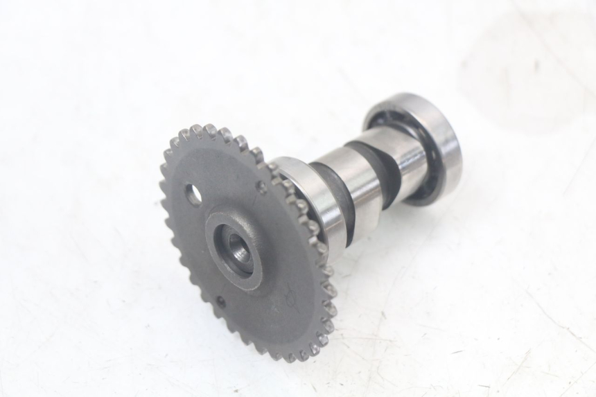 photo de CULATA TNT MOTOR ROMA 10' 4T 50 (2007 - 2018) - Zoom sobre los componentes