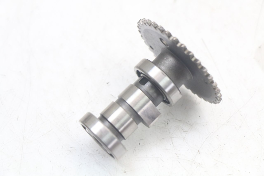 photo de CULATA TNT MOTOR ROMA 10' 4T 50 (2007 - 2018) - Primer plano de alta resolución