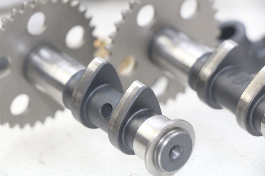 photo de CULATA APRILIA SCARABEO LIGHT 125 (2007 - 2011) - Vista principal