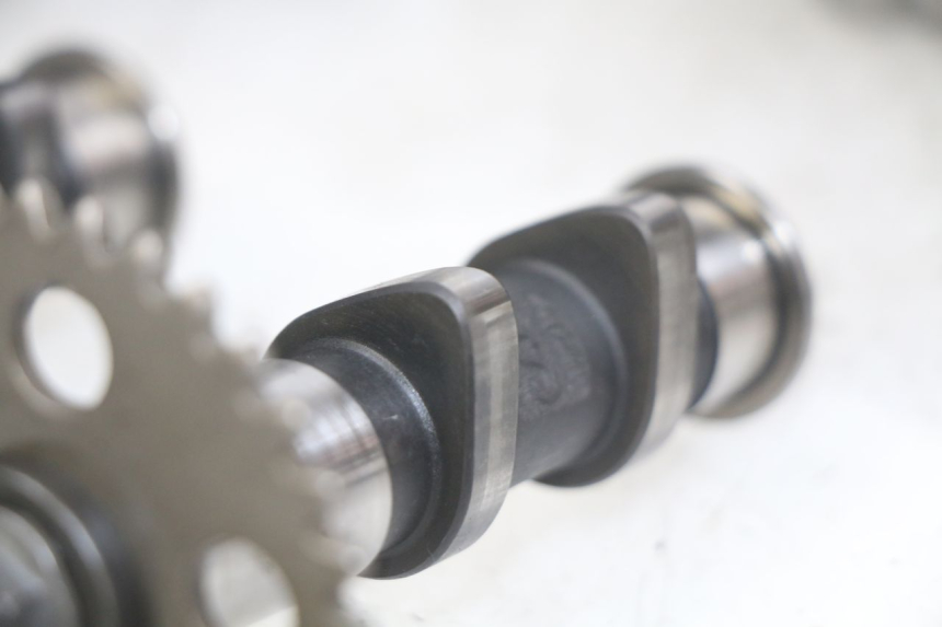 photo de CULATA APRILIA SCARABEO LIGHT 125 (2007 - 2011) - Zoom estado de uso