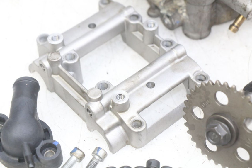 photo de CULATA APRILIA SCARABEO LIGHT 125 (2007 - 2011) - Primer plano técnico