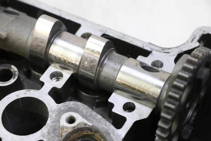 photo de CULATA YAMAHA TDM ABS 900 (2002 - 2014) - Zoom estado de uso