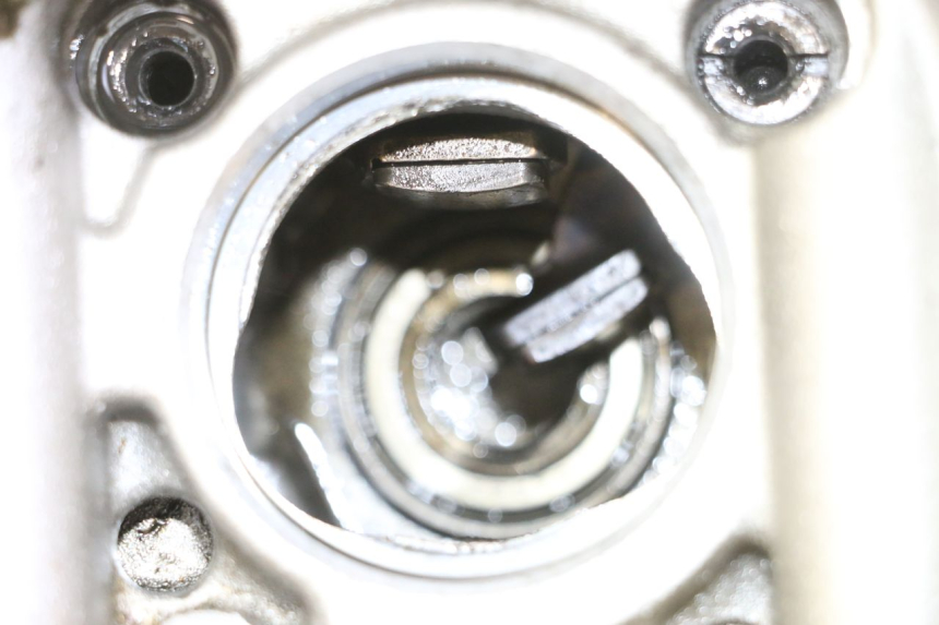 photo de CULATA YAMAHA YFM R RAPTOR 250 (2008 - 2014) - Zoom estado de uso