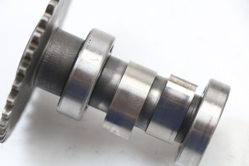 photo de CULATA UNIVERSAL BIKE ZN50QT-11B 50 (2018 - 2021) - Marcados y referencias originales