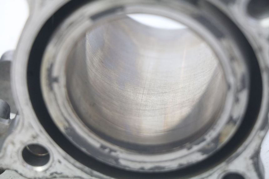 photo de CILINDRO HONDA FES PANTHEON 125 (2003 - 2007) - Primer plano técnico