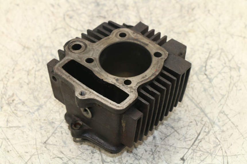 photo de CILINDRO PANTHERA PANTHERA 110 (2010 - 2017) - Vista principal