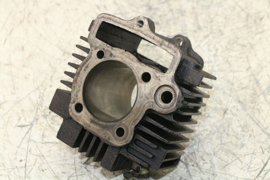 photo de CILINDRO PANTHERA PANTHERA 110 (2010 - 2017) - Zoom sobre los componentes