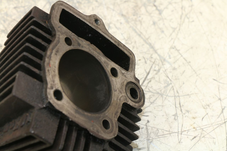 photo de CILINDRO PANTHERA PANTHERA 110 (2010 - 2017) - Otra perspectiva