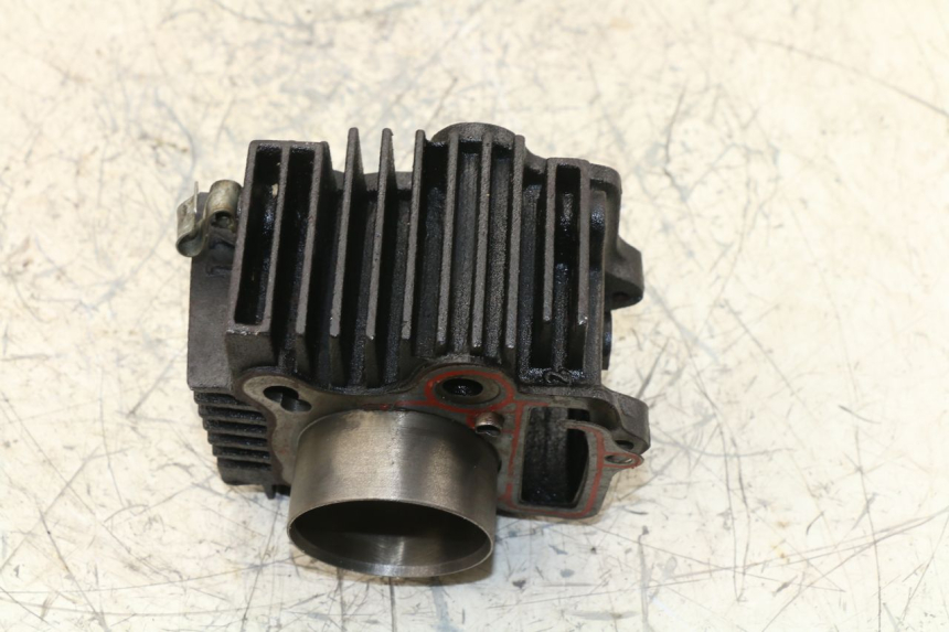 photo de CILINDRO PANTHERA PANTHERA 110 (2010 - 2017) - Primer plano técnico