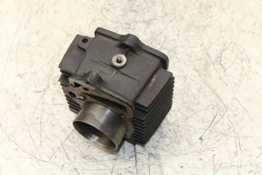 photo de CILINDRO PANTHERA PANTHERA 110 (2010 - 2017) - Vista general del producto