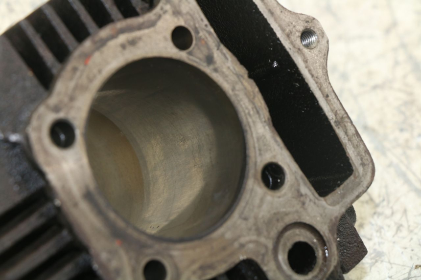 photo de CILINDRO PANTHERA PANTHERA 110 (2010 - 2017) - Estado de la superficie y material