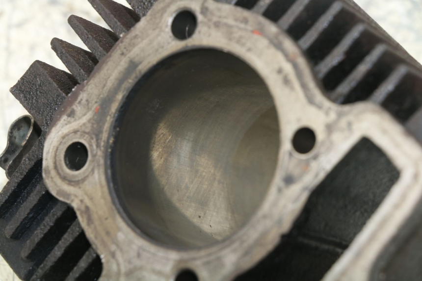 photo de CILINDRO PANTHERA PANTHERA 110 (2010 - 2017) - Recambio usado revisado