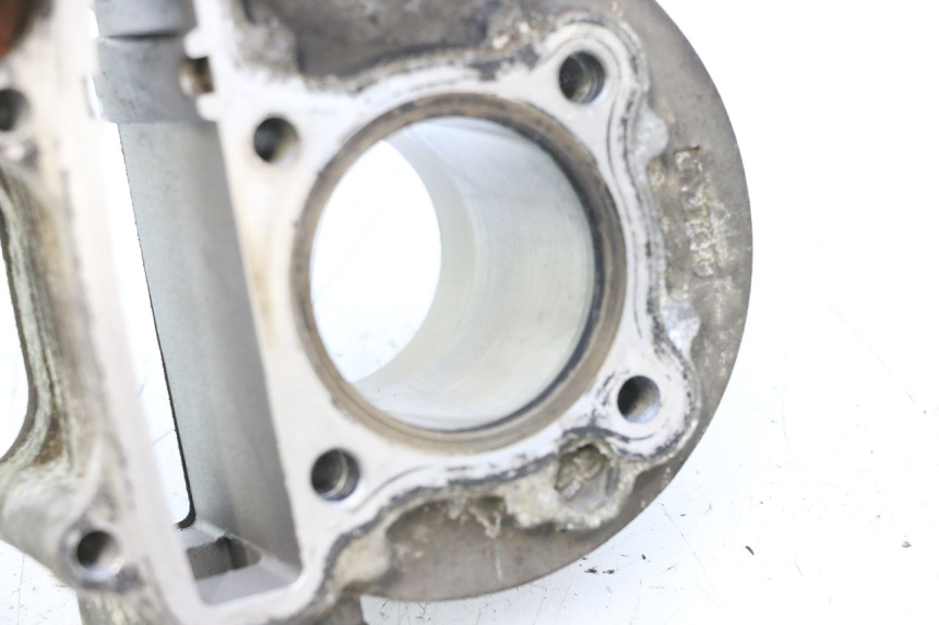 photo de CILINDRO PISTON JM MOTORS F45i 4T 50 (2020 - 2023) - Estado de la superficie y material