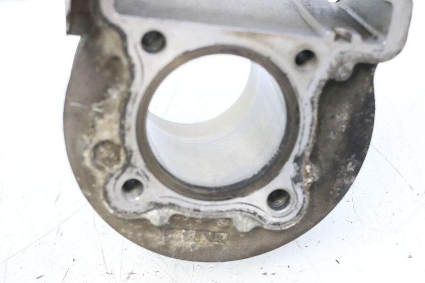 photo de CILINDRO PISTON JM MOTORS F45i 4T 50 (2020 - 2023) - Recambio usado revisado