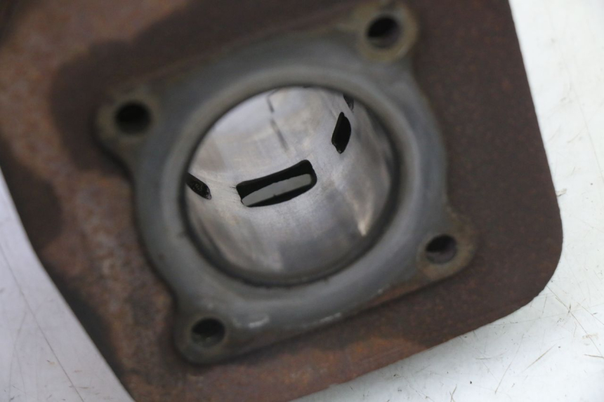 photo de CILINDRO PISTON PEUGEOT SPEEDFIGHT 3 AIR 50 (2009 - 2015) - Características distintivas