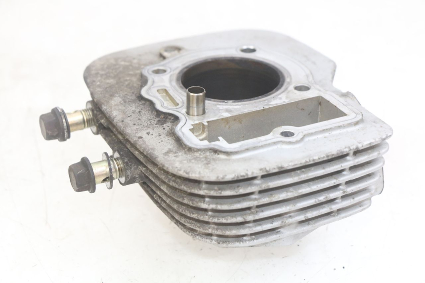 photo de CILINDRO PISTÓN DAELIM VJ ROADWIN FI 125 (2008 - 2017) - Zoom sobre los componentes